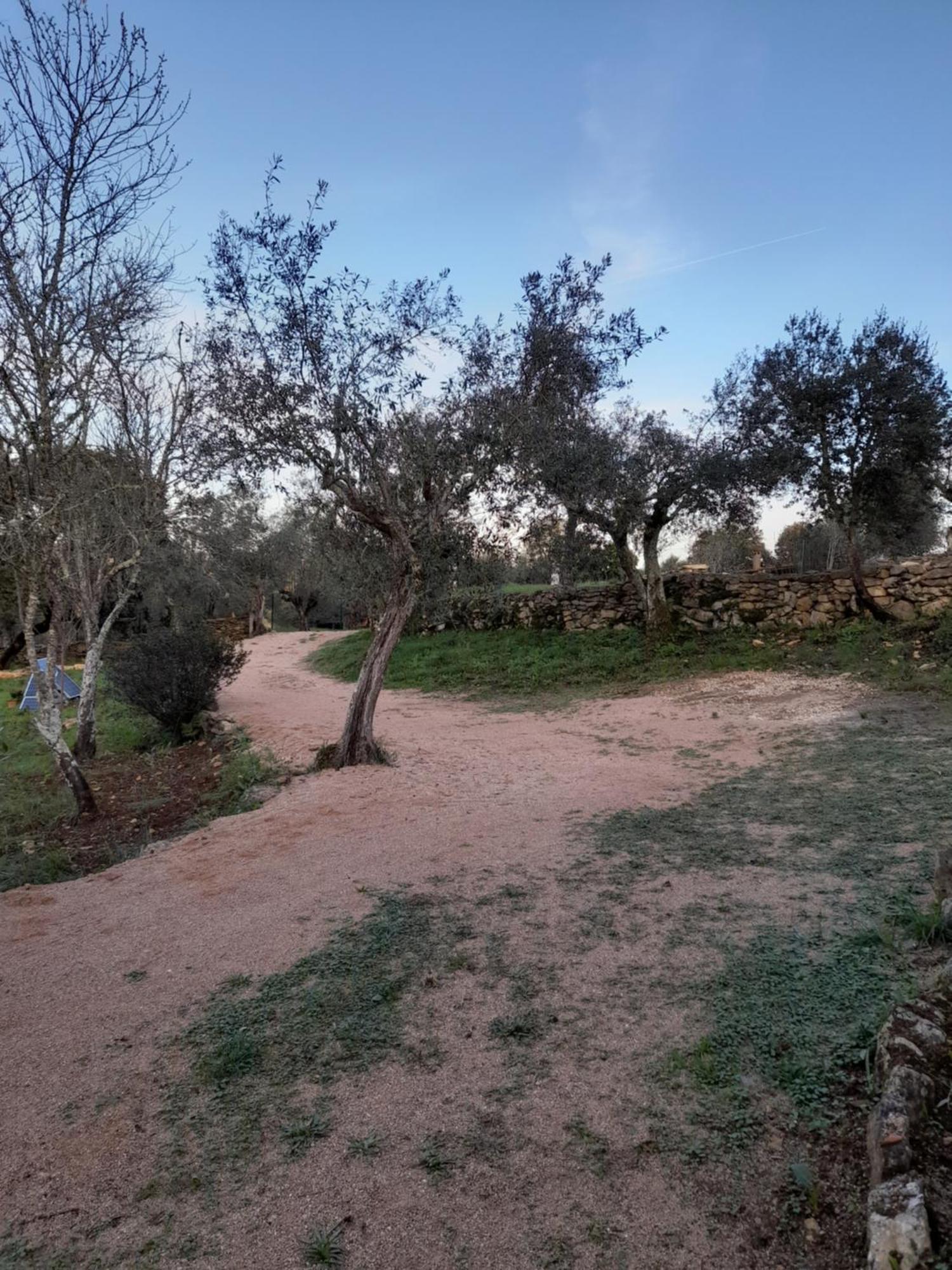 Casa Dos Terranhos Villa Tomar Kültér fotó